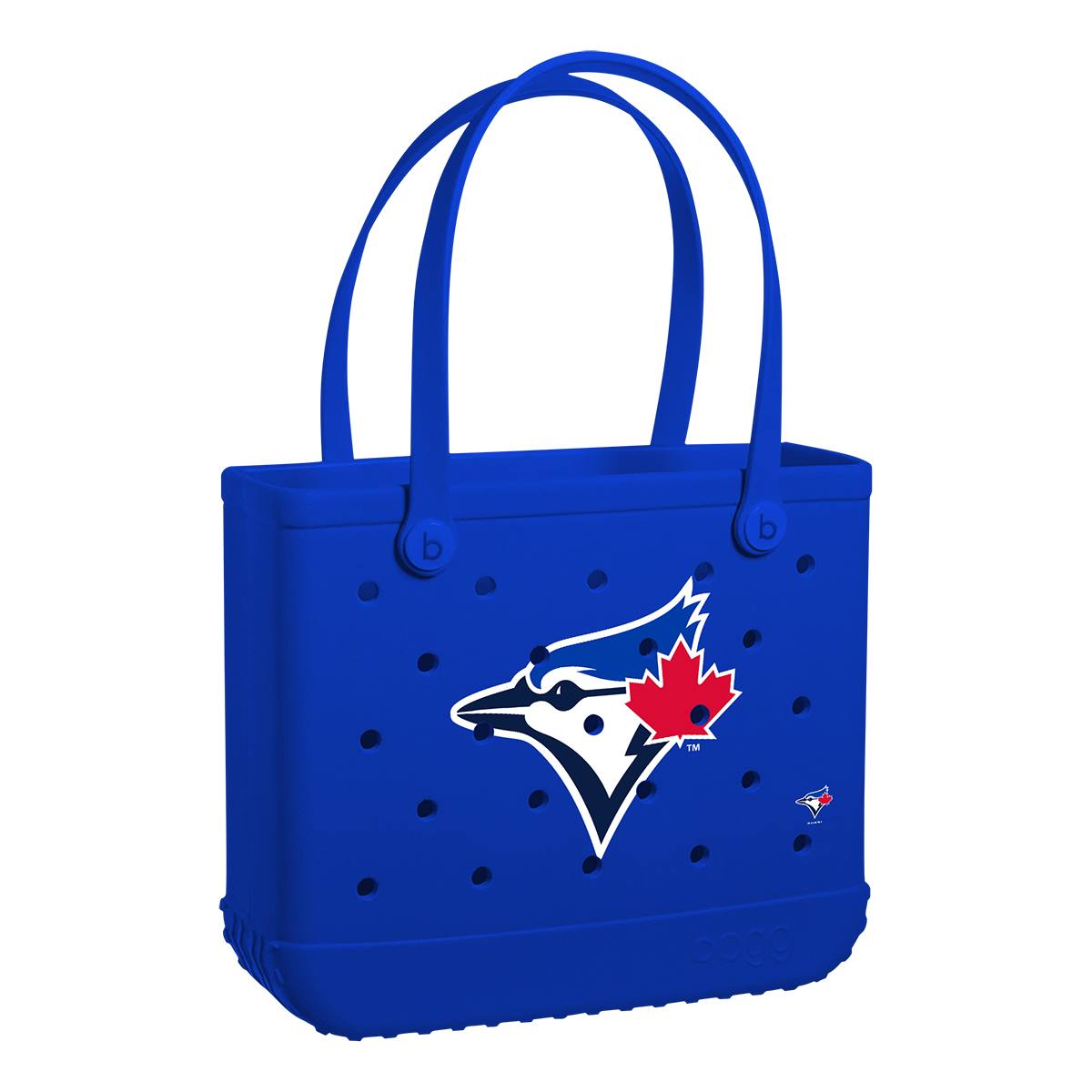 Baby_Toronto-Blue-Jays_A.png